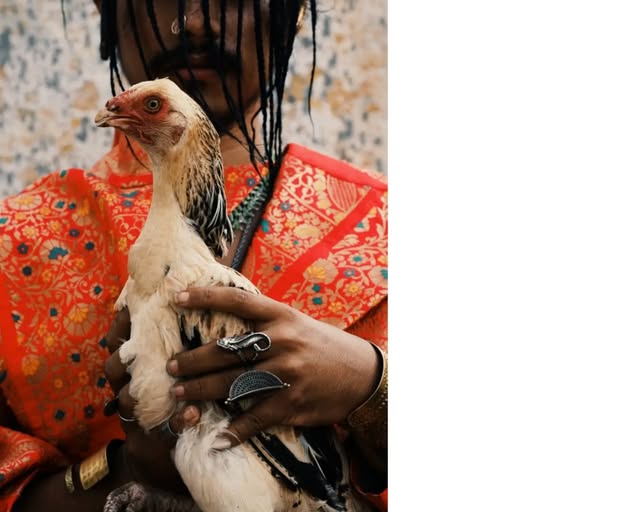 A person at a Common Ground gathering, holding a chicken.