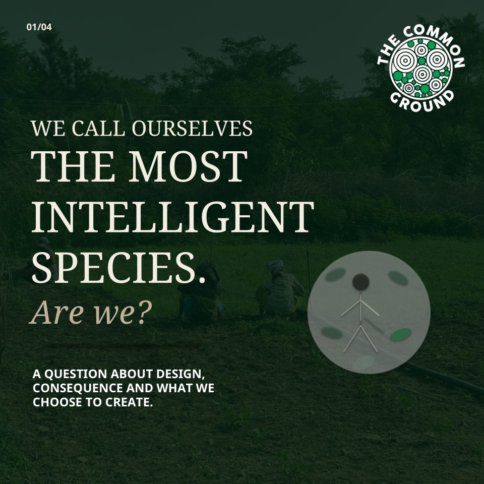 A dark green field photograph of people working, overlaid with the question: we call ourselves the most intelligent species. Are we?