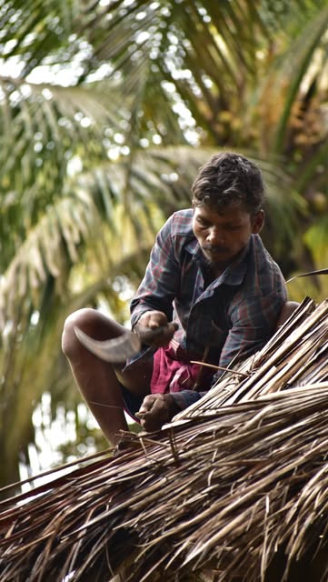 A man trimming a palm-leaf roof.